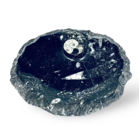 Ammonitesz tál - nyers szélű