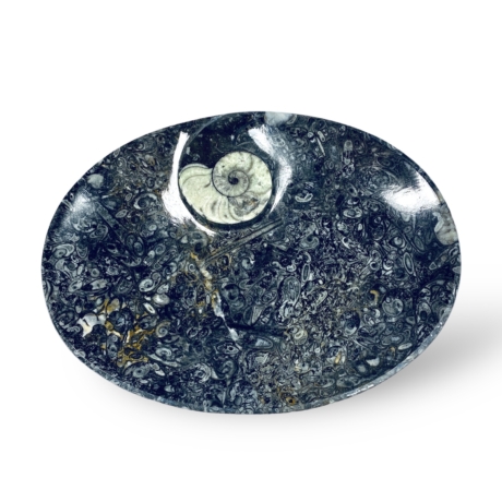 Ammonitesz tál - ovális